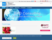 Tablet Screenshot of brdconsulting.it